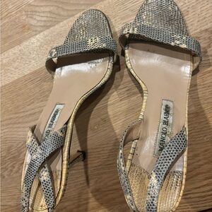 Snake skin Manola blahnik